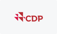 CDP Disclosure