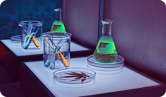 Reliable availability for bulk and repeat supply requirements.